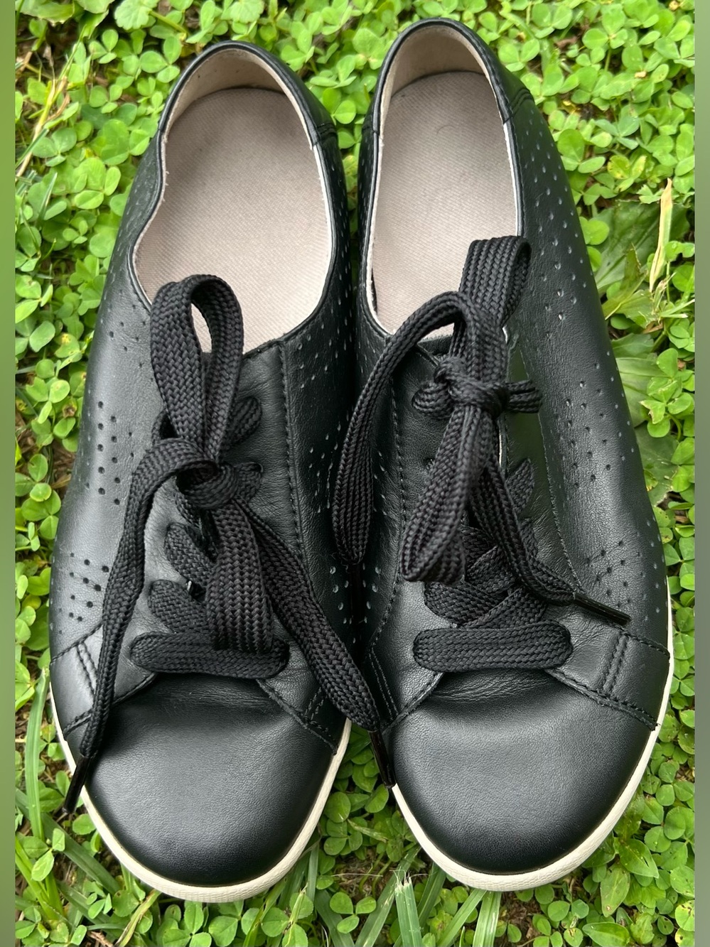 Dansko Black Orli Nappa Perforated Lace Up Sneaker 38